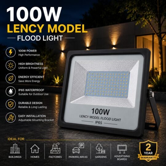 100W Lency Model Flood Light